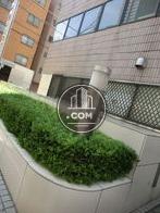 玄関横は緑が植えられています