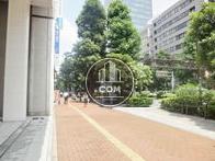 街路樹のある歩道