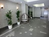 植栽が映えます