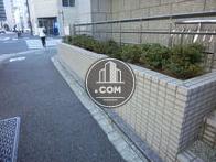 ささやかですが緑が植えてあります