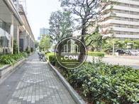 街路樹の豊な通り