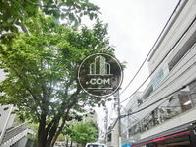 鮮やかな緑が印象的です