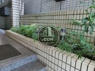 植栽になります