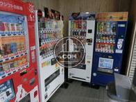 自動販売機が多数あるのは嬉しいですね