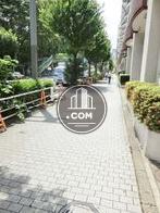 玄関前の歩道