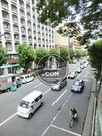 街路樹の立ち並ぶ公道