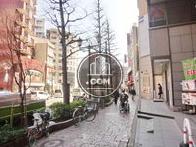 前面を通る歩道