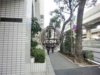 街路樹が立ち並ぶ歩道