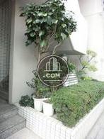 植栽が多く配置された玄関回り