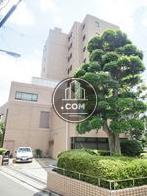 植木の配置された敷地内