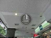 きれいな天井