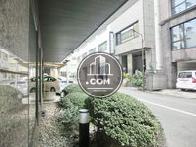玄関脇にある植栽です