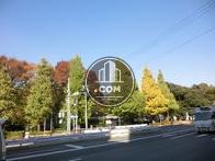 道路向かいは大きな公園になっております