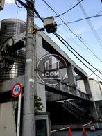コンクリートの丈夫な枠組みが目立ちます