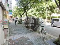 気持ちの良い街路樹通り