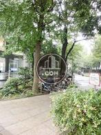緑豊かな場所です