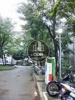 側面部分には緑道があります