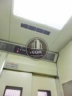 天井の照明