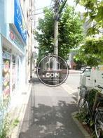 街路樹のある公道