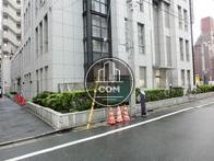 物件周辺には植栽もあります
