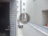 通用口前の道路です