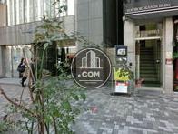 車道と歩道の境には植栽や木が植えられています
