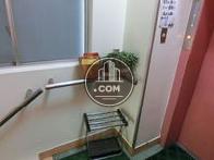 エレベーター脇の傘立て
