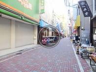 綺麗に舗装された歩道が展開されています