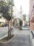 街路樹の点在する歩道エリア