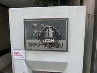 カテリーナ柳通り