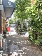 街路樹の生い茂る公道沿い