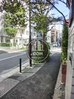 緑の多い歩道です