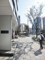 街路樹のある通り
