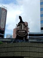 ゴジラ像が目の前に