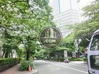 街路樹の生い茂る通り