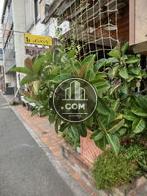 歩道沿いには植栽があります