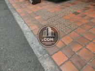 歩道との間に段差はありません