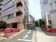 ビルの側道