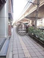 街路樹のある歩道