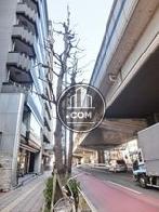 三軒茶屋駅方面