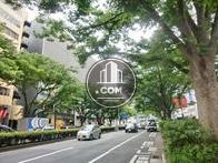 表参道のお洒落な雰囲気の中にあります