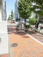 綺麗に舗装された玄関前の歩道