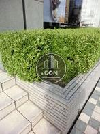 植樹されています