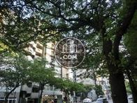 九段南という立地上、緑が多いです