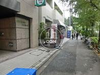 街路樹が美しいです