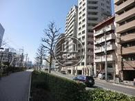 西武線沿いの歩道から見た新目白通りです