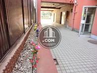 通路に植栽が施されています