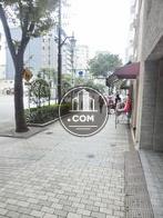 街路樹のある通り
