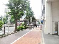 街路樹のある歩道