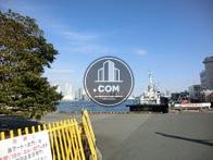 ビルの目の前は海が広がります